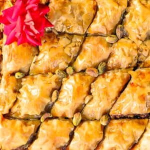 Pistachio baklava in a tray with a red rose on top.
