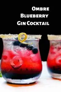 Blueberry Gin Cocktail.