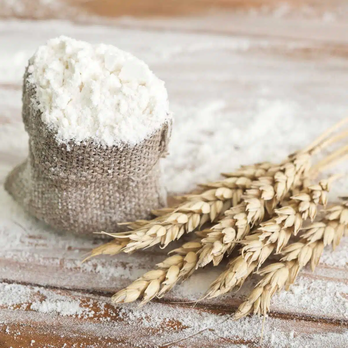 A bowl of wheat flour next to wheat.