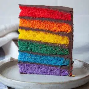 A slice of rainbow cake.