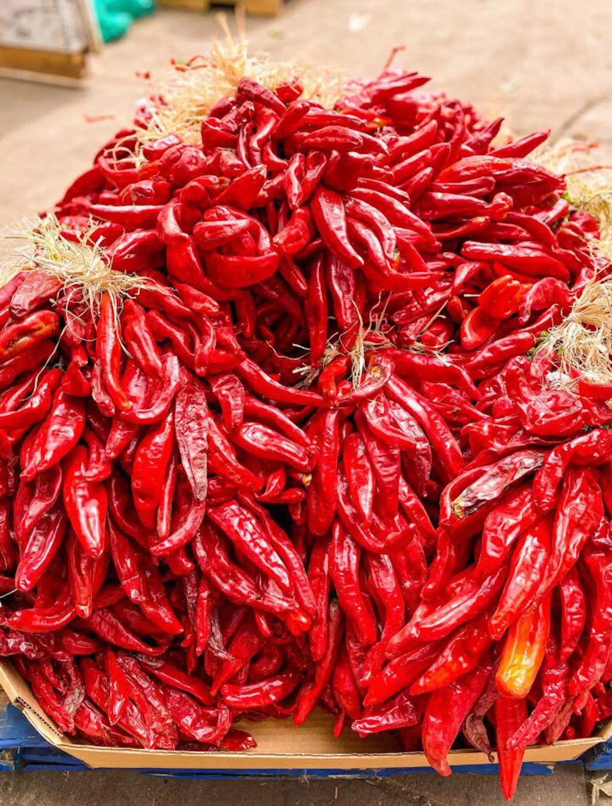 Fresh red chiles.