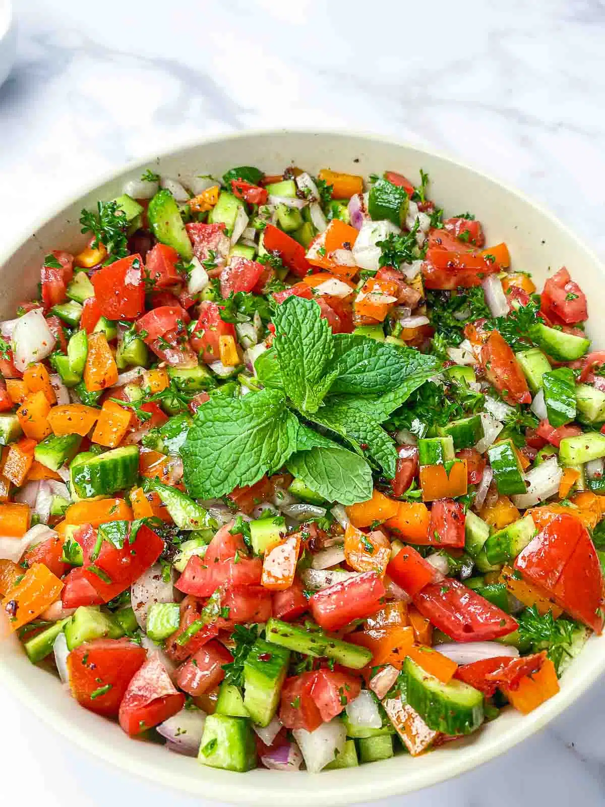 Turkish salad with all the ingredients tossed together and mint leaves in the center. 