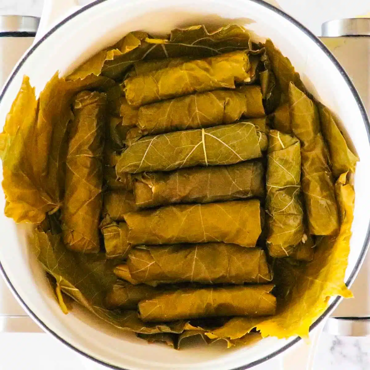 Grape leaves in a Dutch oven. 