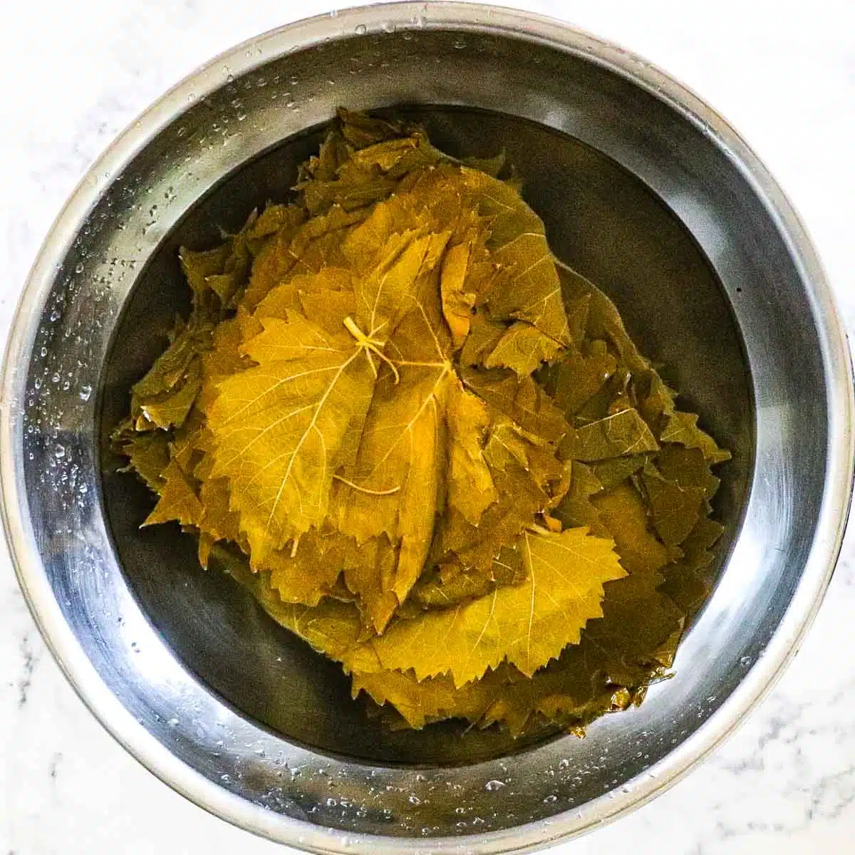Grape leaves soaking in a bowl filled with water.