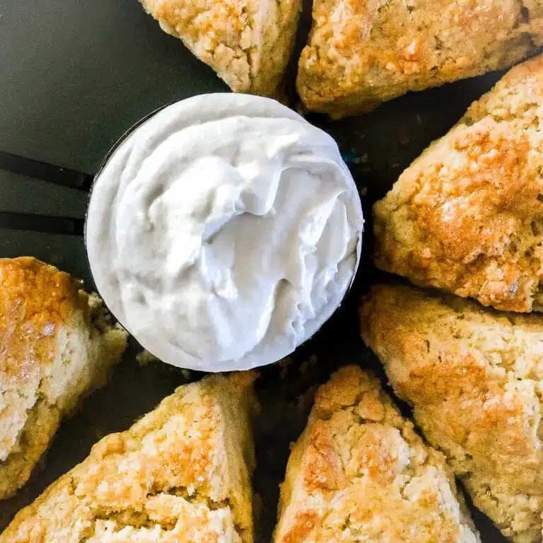 A circle of vegan plain scones around a mixing cub filled with vegan clotted cream.