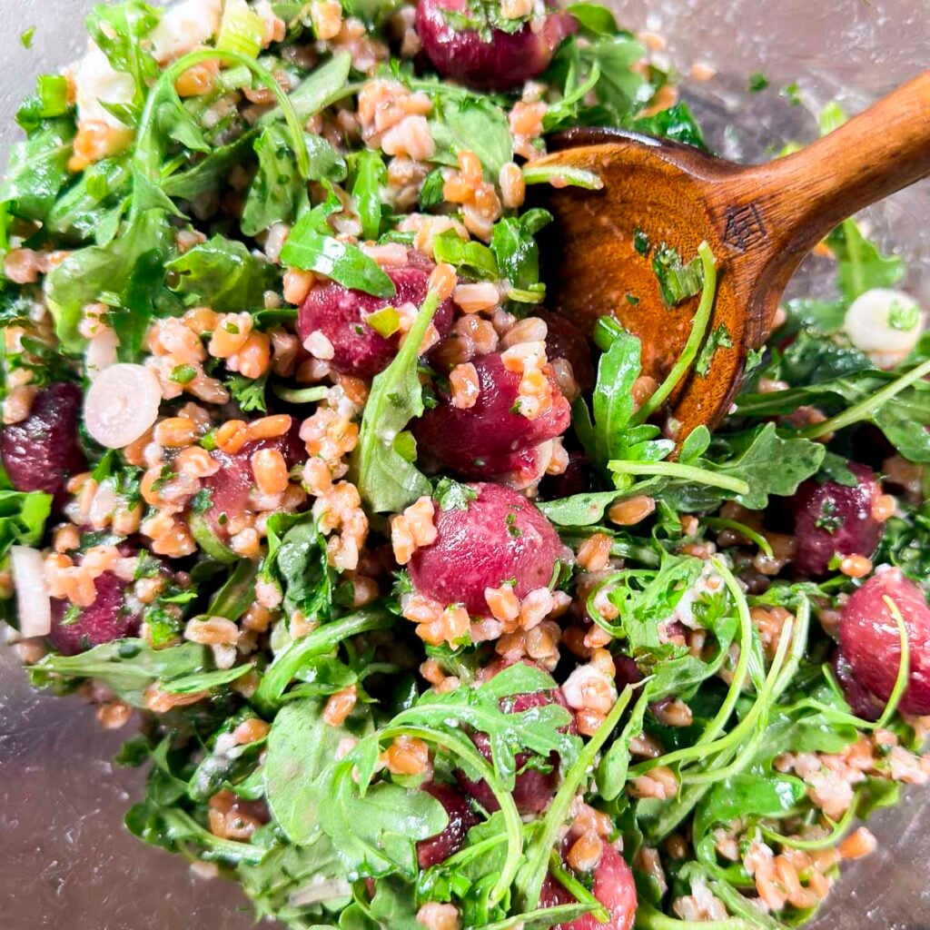 Farro grain salad tossed together in a glass bowl with blistered roasted grapes, arugula, green onions, mint, vegan feta and a lemon dressing